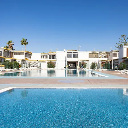 Live Drago Bel C Hercules *