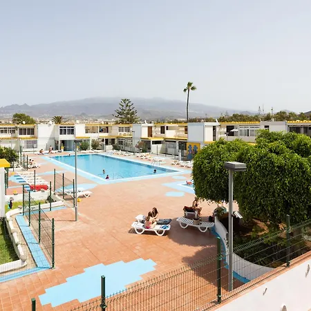 Live Drago Bel C Hercules Коста-дель-Силенцио