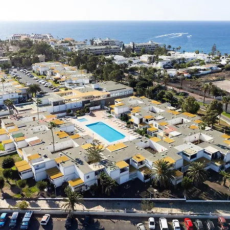 Live Drago Bel C Hercules