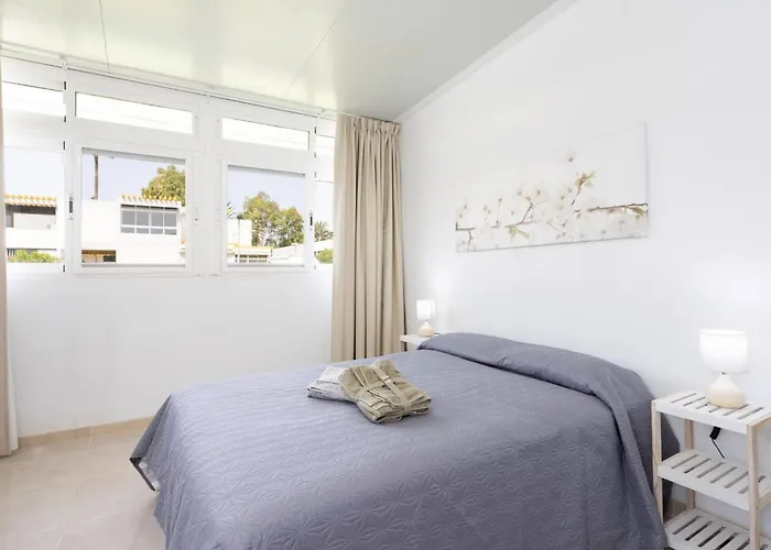 Live Drago Bel C Hercules *