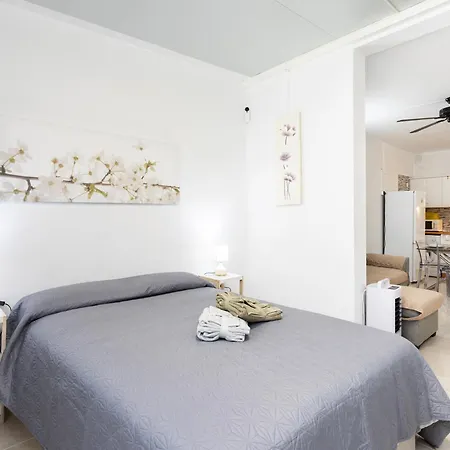 Live Drago Bel C Hercules