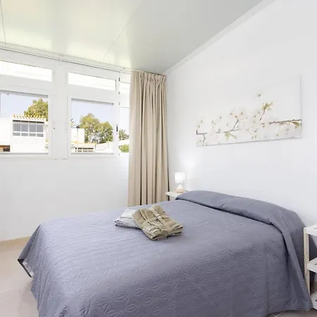 Live Drago Bel C Hercules *