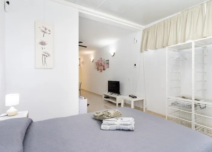 Live Drago Bel C Hercules