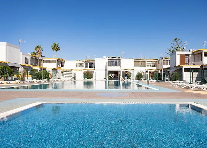 Live Drago Bel C Hercules *