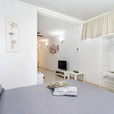 Live Drago Bel C Hercules