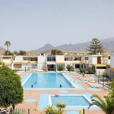 Live Drago Bel C Hercules